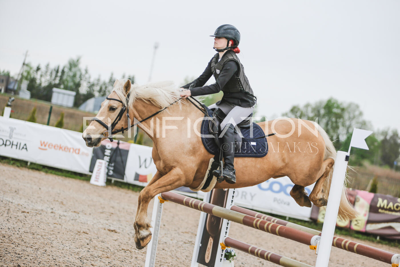 Gramina_Kevad_2026_95_041