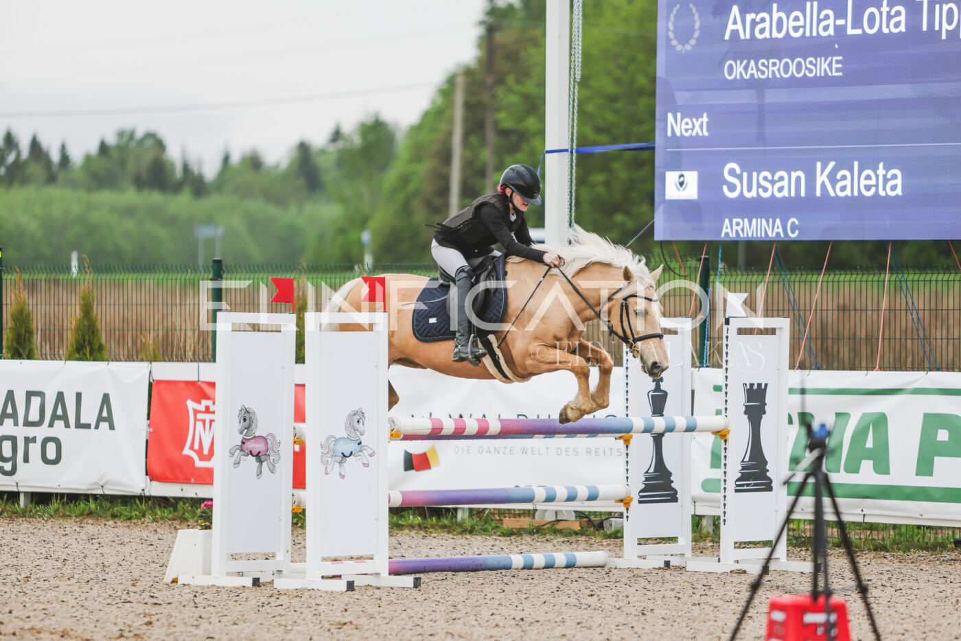 Gramina_Kevad_2026_95_042