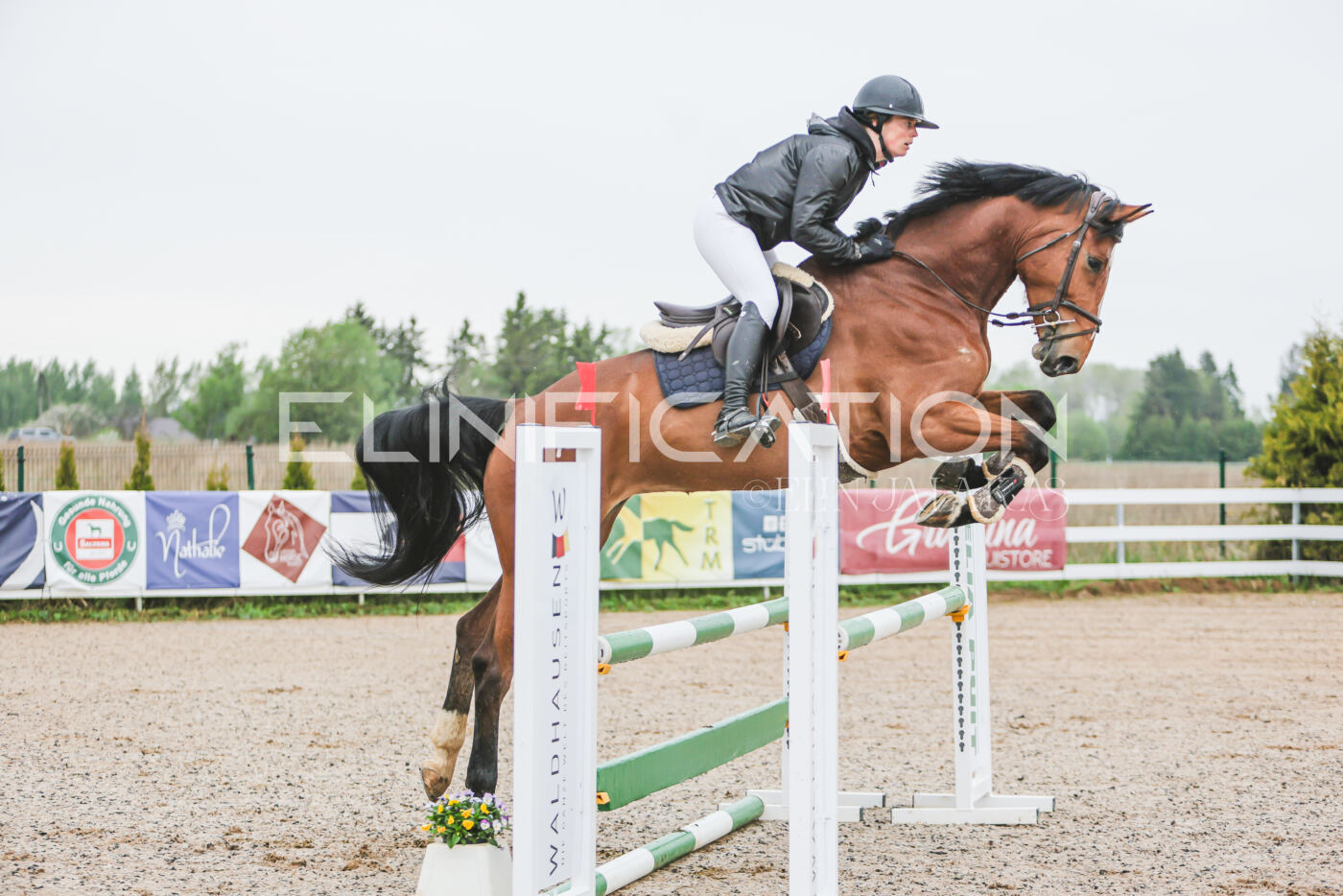 Gramina_Kevad_2026_95_044