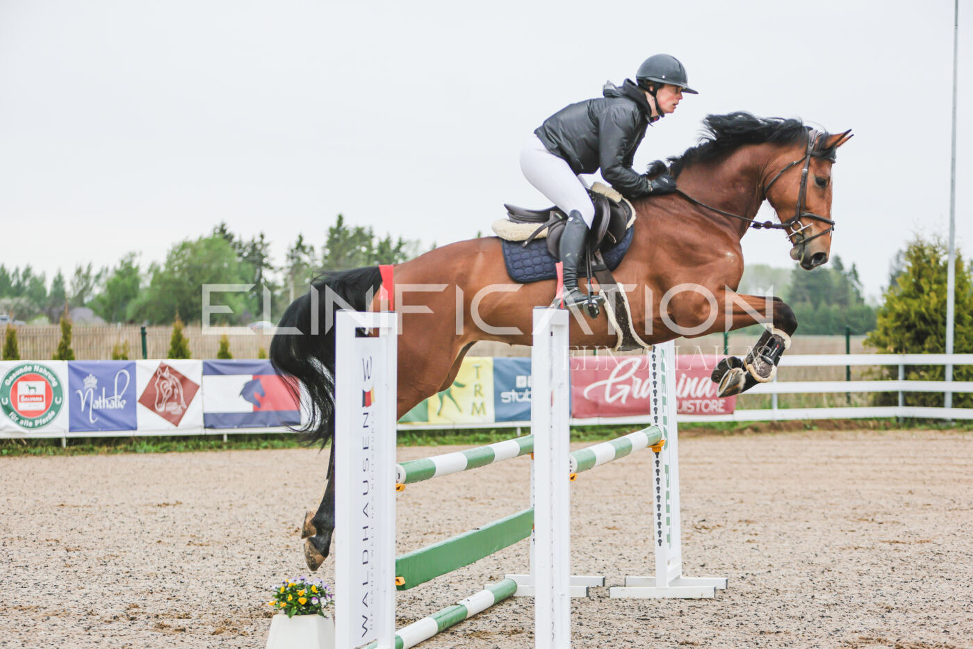 Gramina_Kevad_2026_95_045