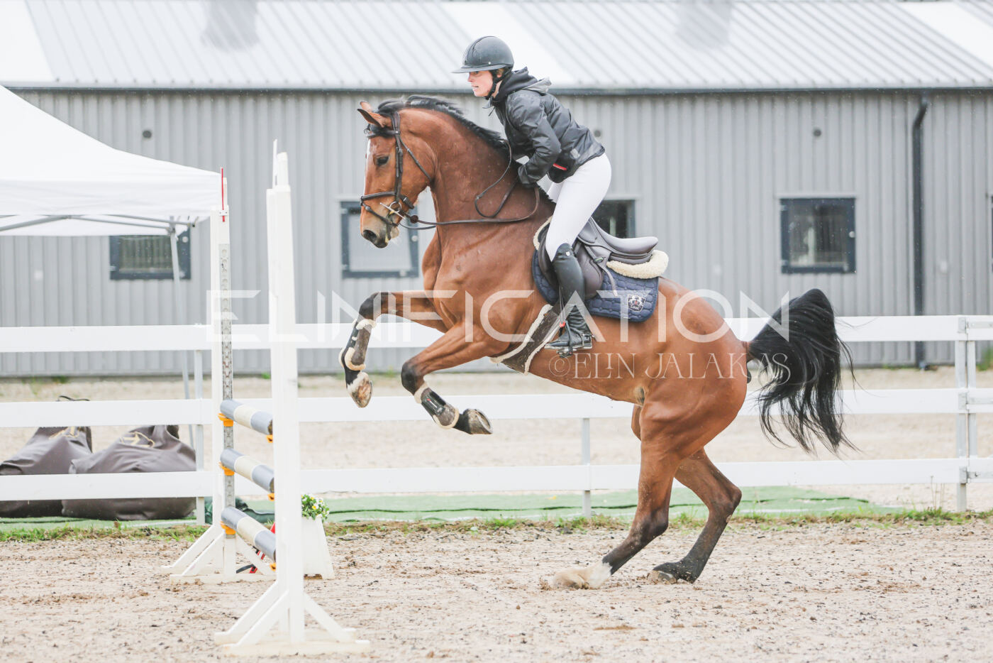 Gramina_Kevad_2026_95_046