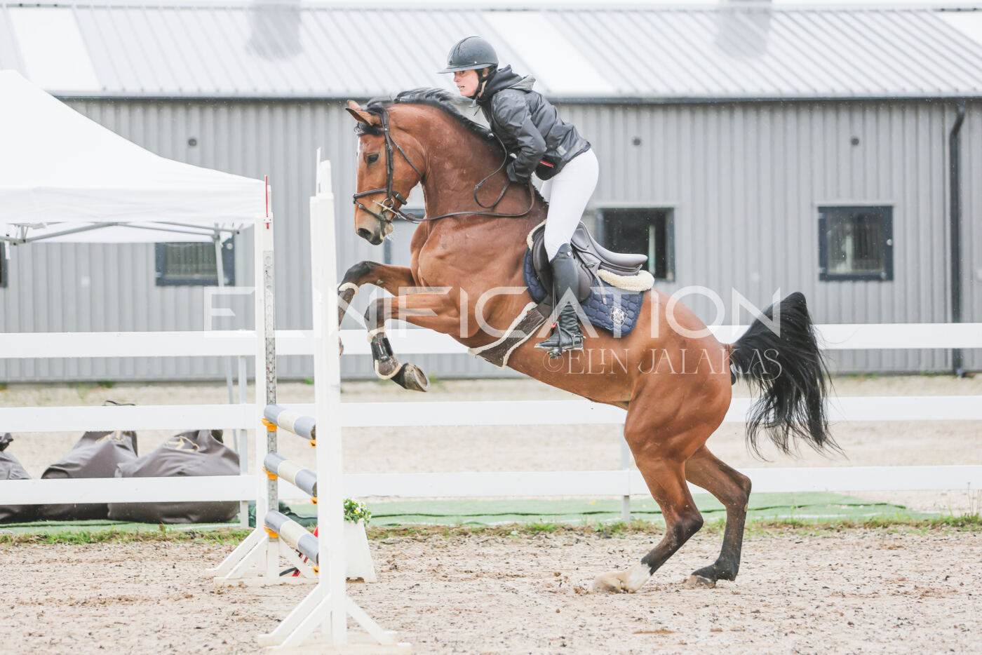 Gramina_Kevad_2026_95_047