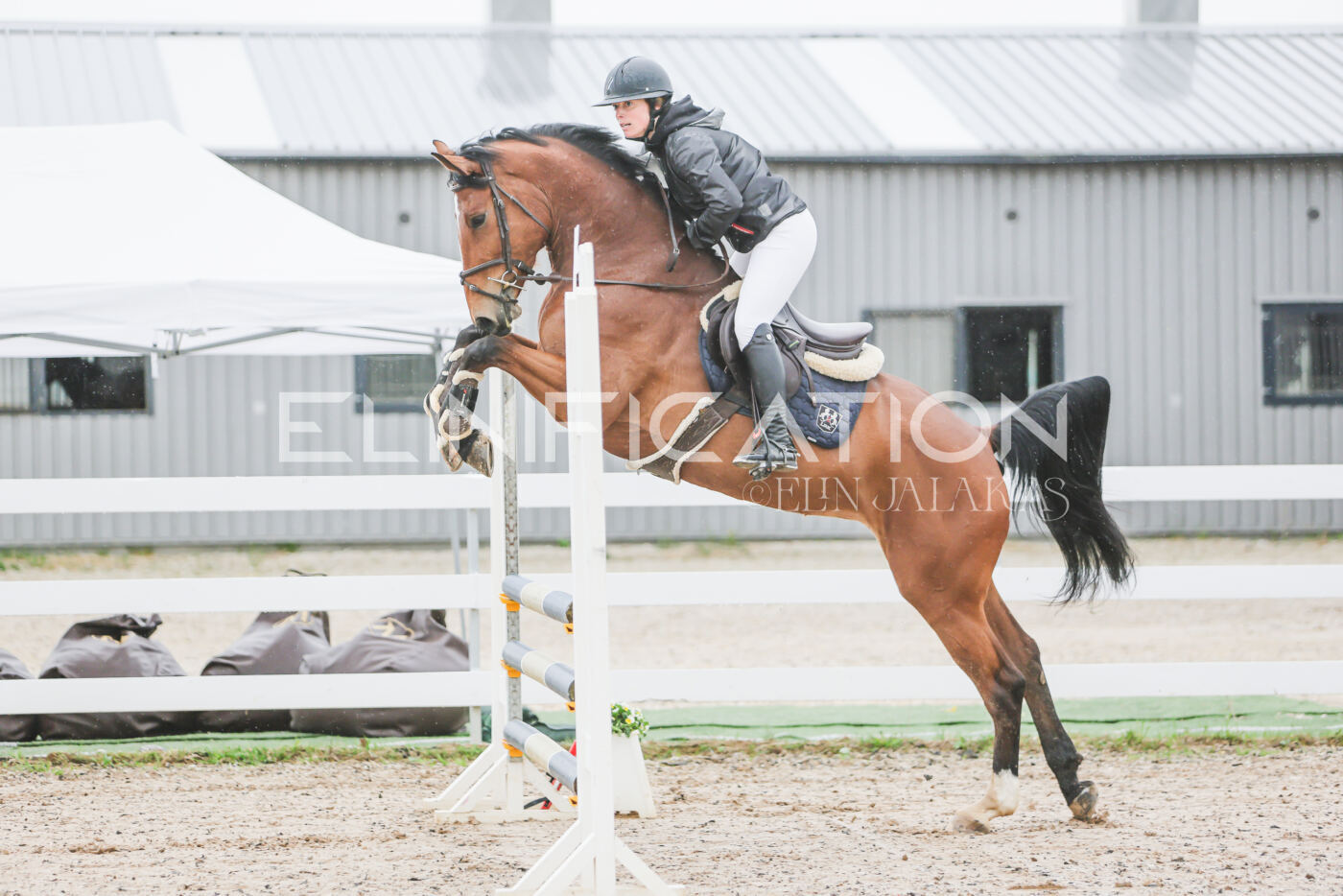Gramina_Kevad_2026_95_049