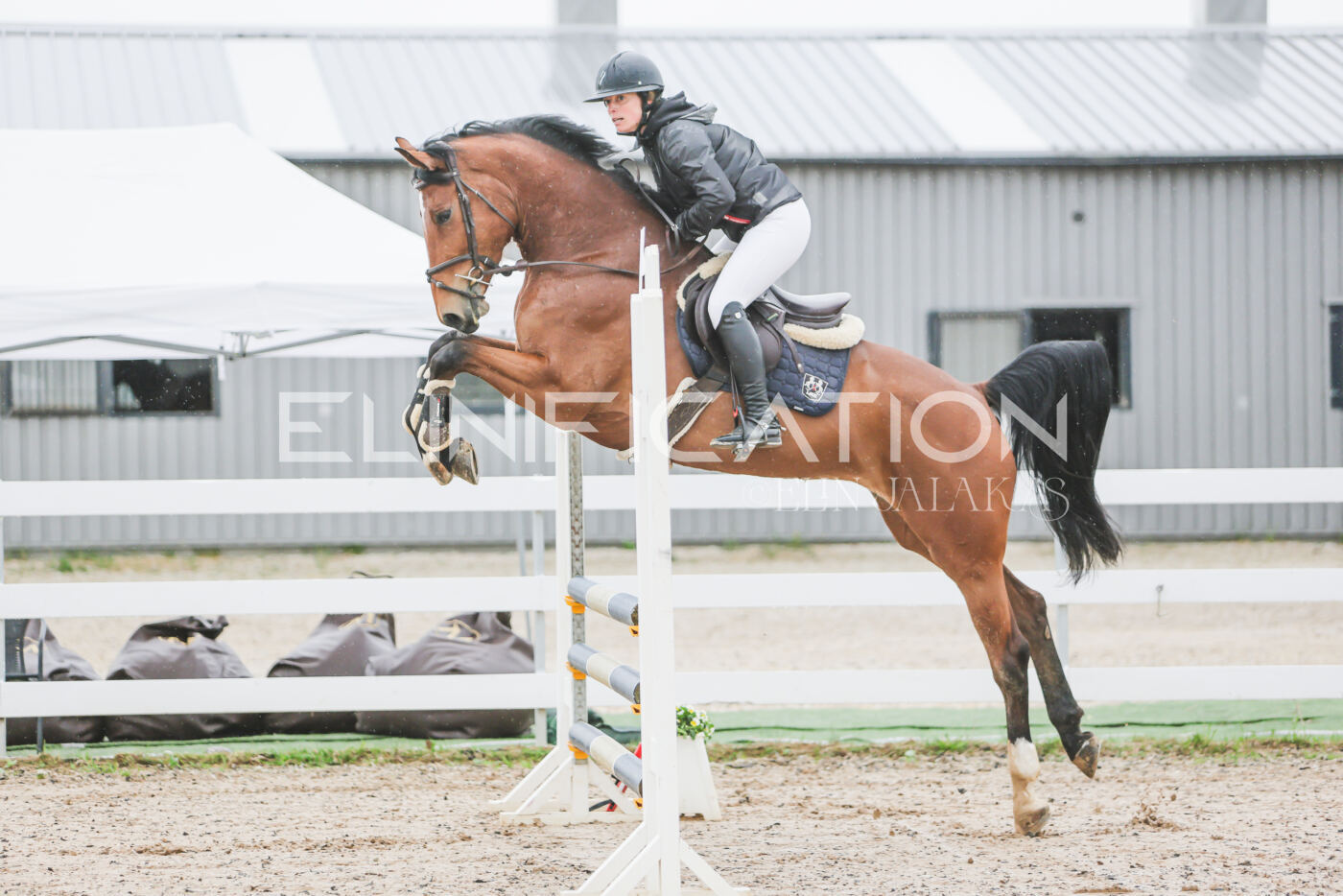 Gramina_Kevad_2026_95_050