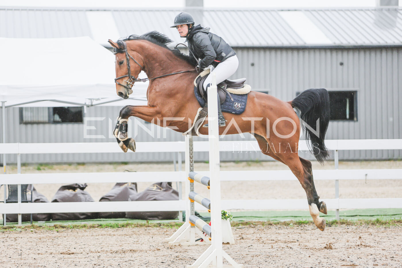 Gramina_Kevad_2026_95_051