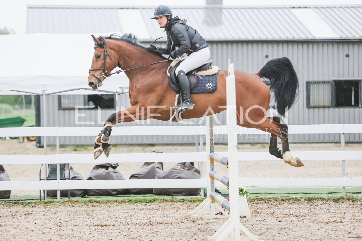 Gramina_Kevad_2026_95_053