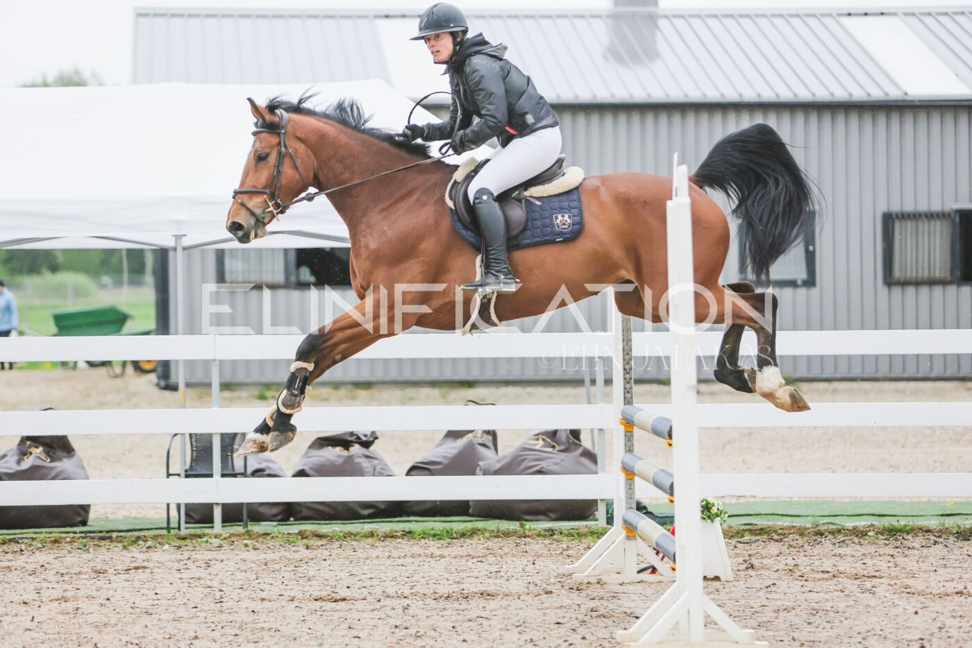 Gramina_Kevad_2026_95_054