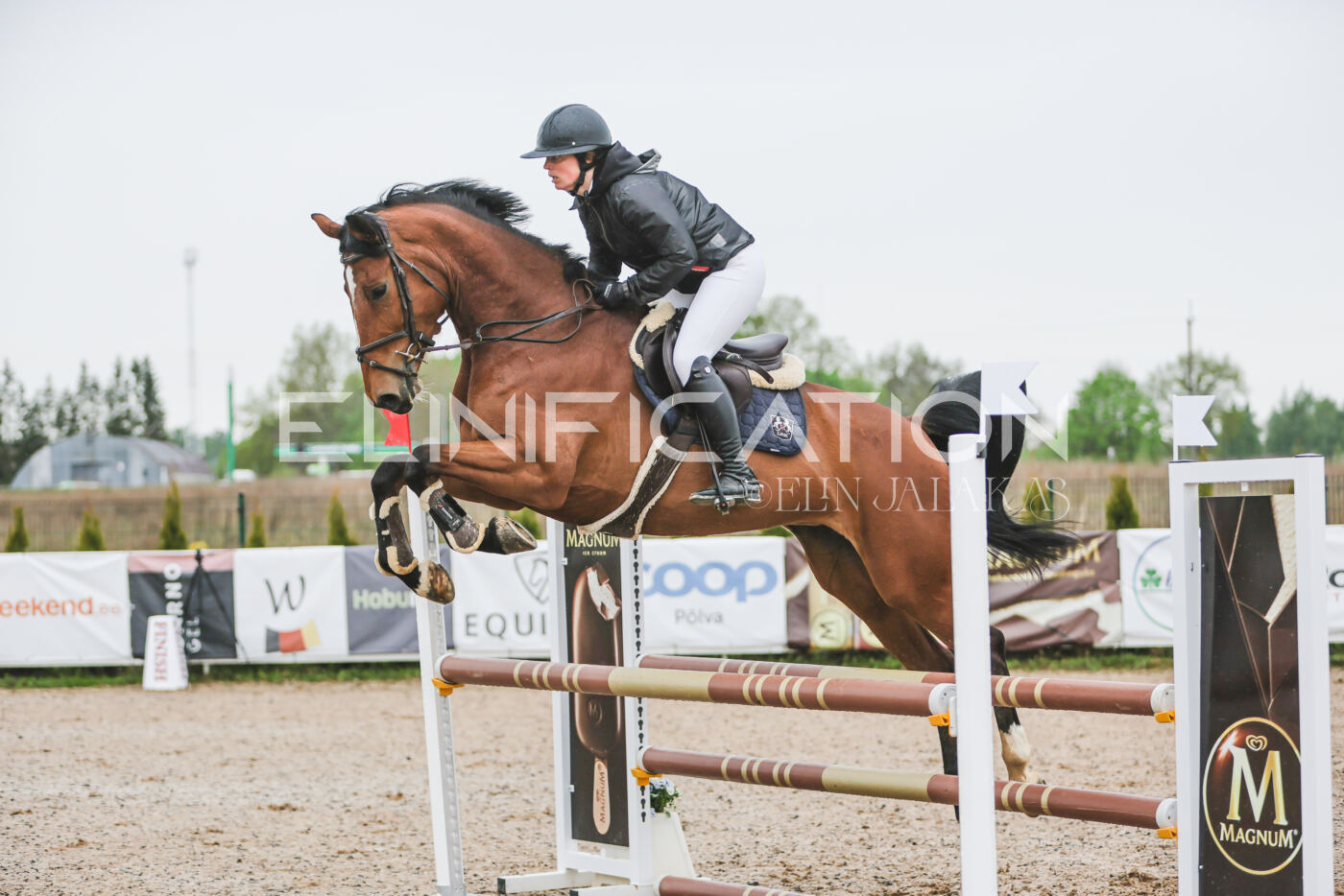 Gramina_Kevad_2026_95_055