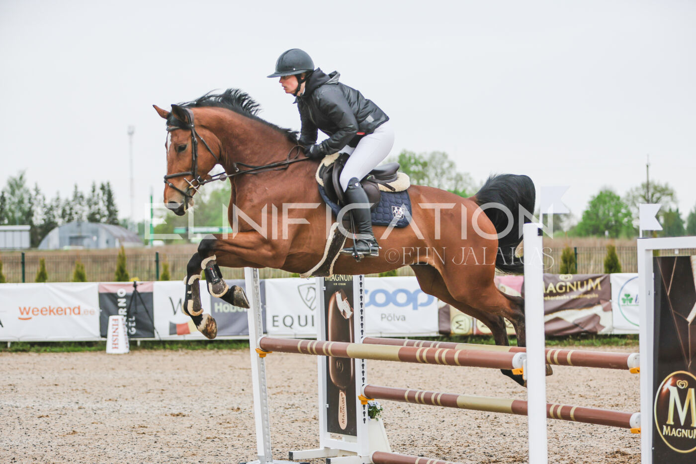 Gramina_Kevad_2026_95_056