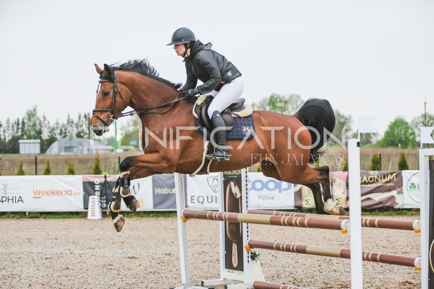 Gramina_Kevad_2026_95_057