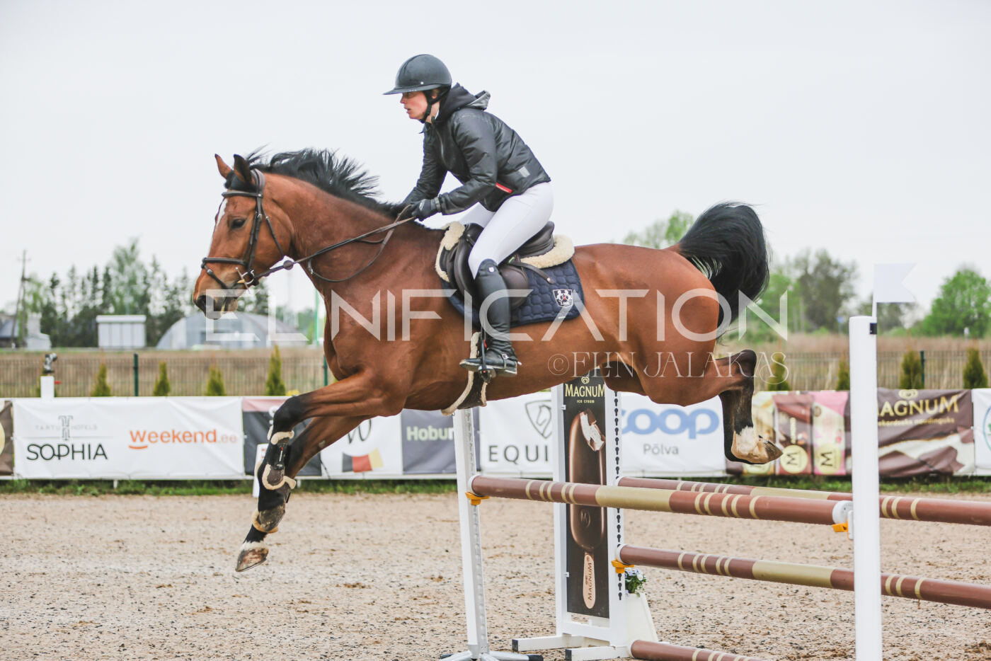Gramina_Kevad_2026_95_058
