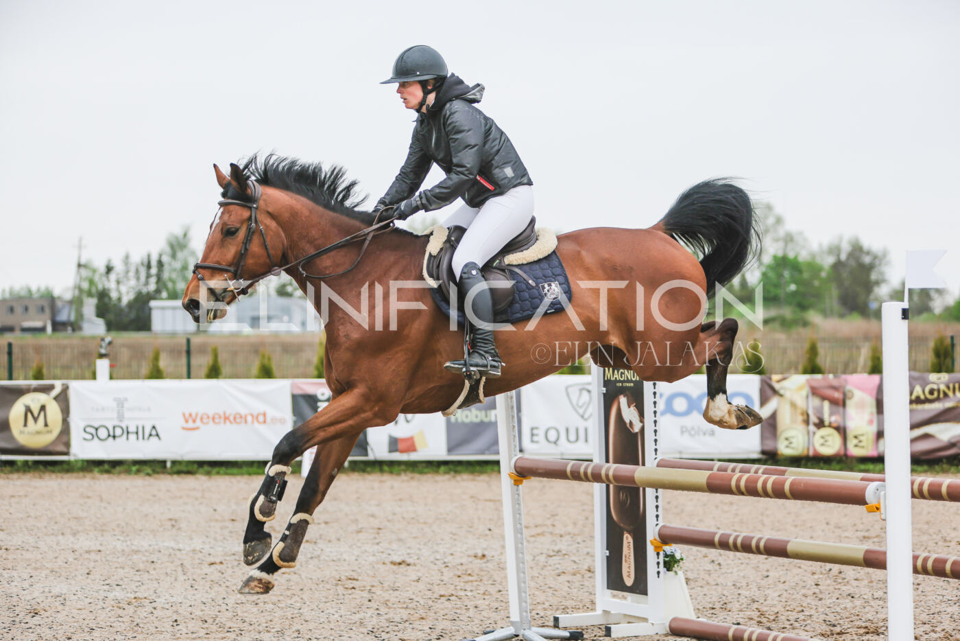 Gramina_Kevad_2026_95_059