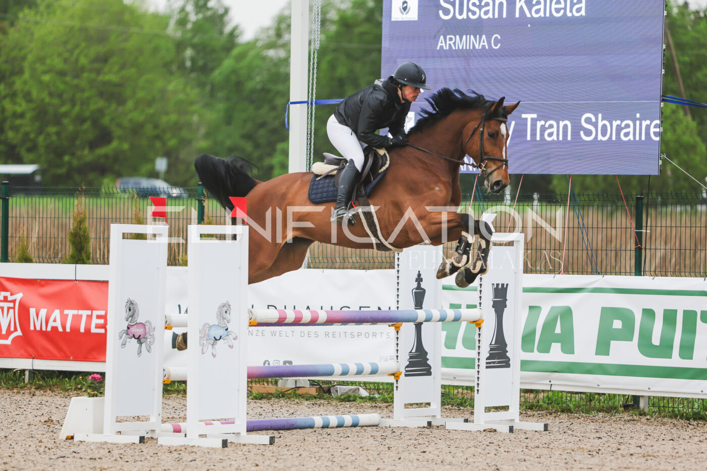 Gramina_Kevad_2026_95_060