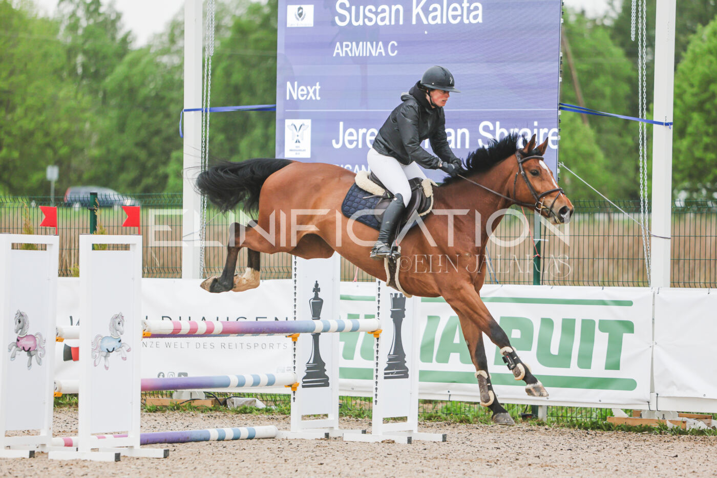 Gramina_Kevad_2026_95_063