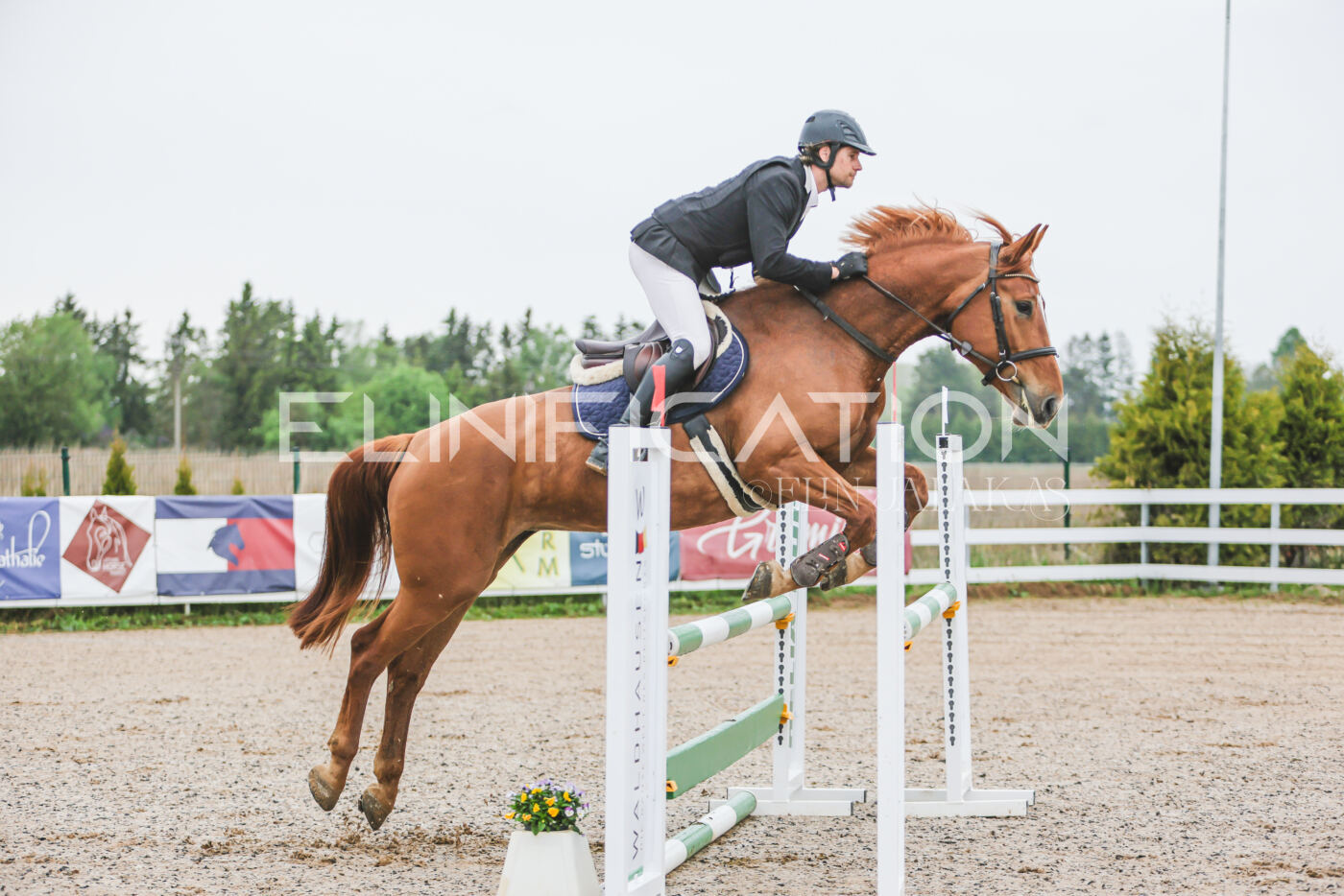 Gramina_Kevad_2026_95_064