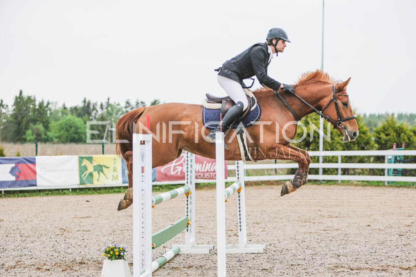 Gramina_Kevad_2026_95_067