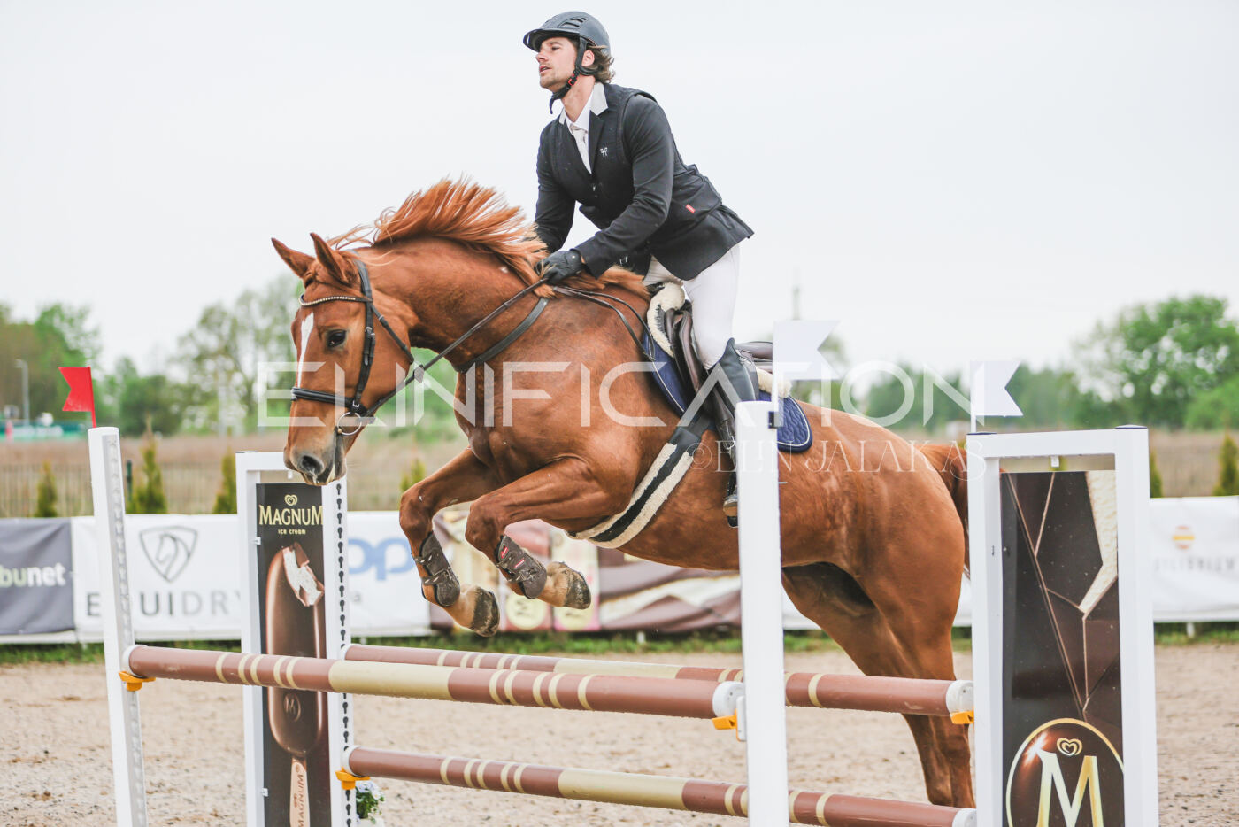 Gramina_Kevad_2026_95_075