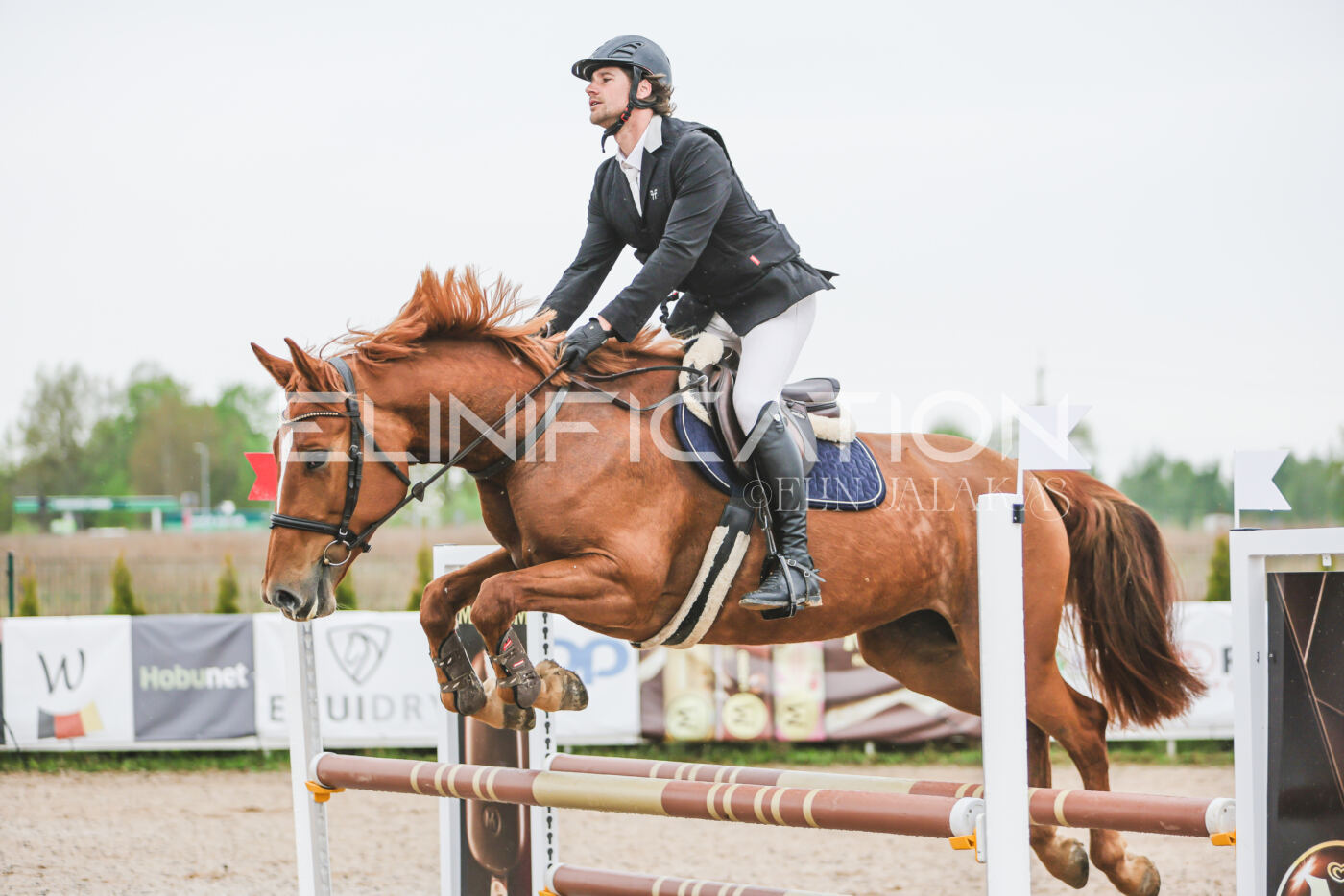 Gramina_Kevad_2026_95_077