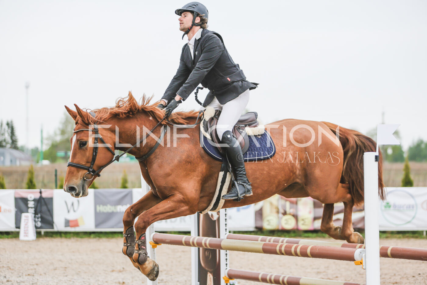Gramina_Kevad_2026_95_079