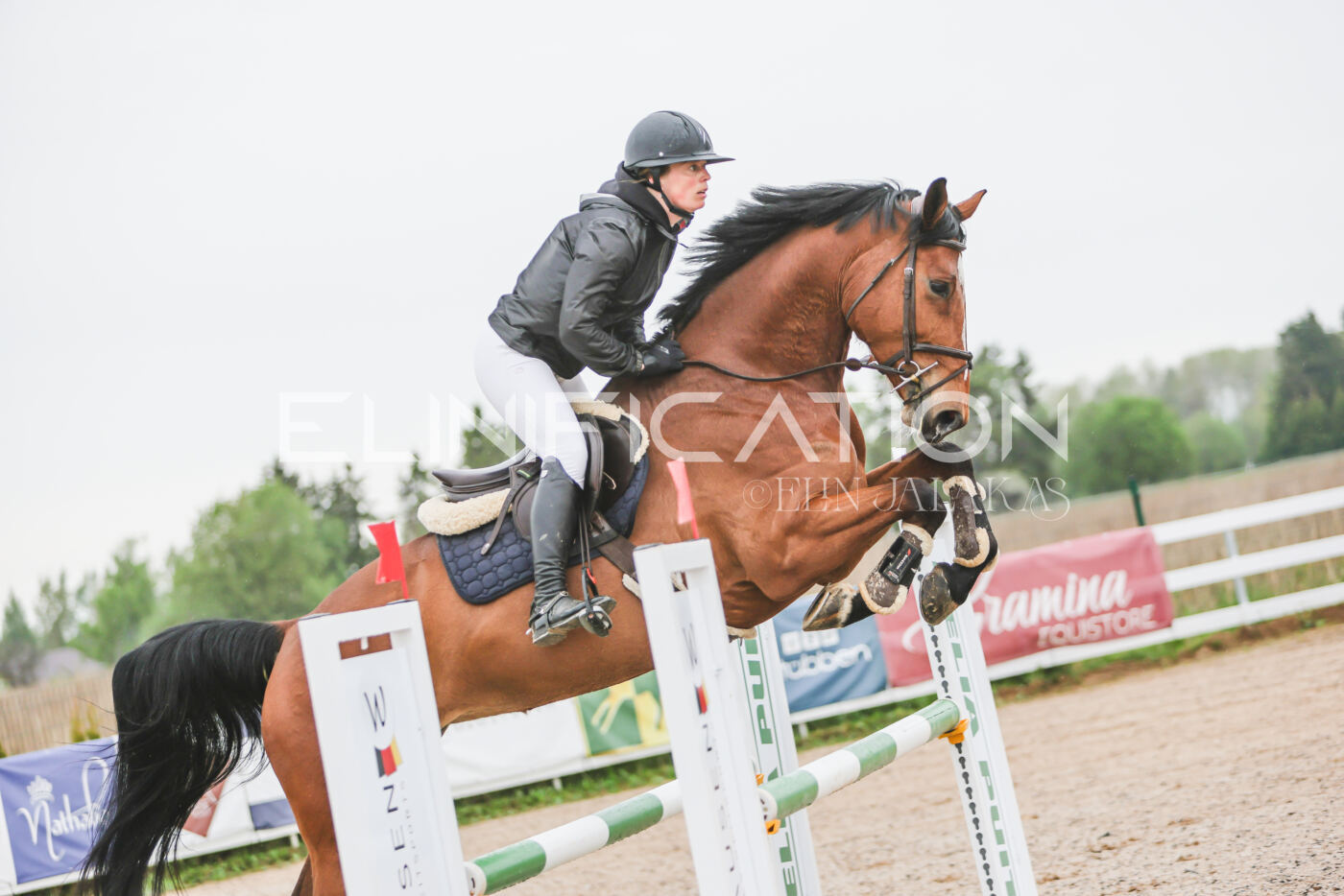Gramina_Kevad_2026_95_083