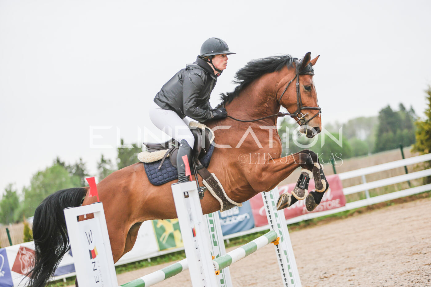 Gramina_Kevad_2026_95_084