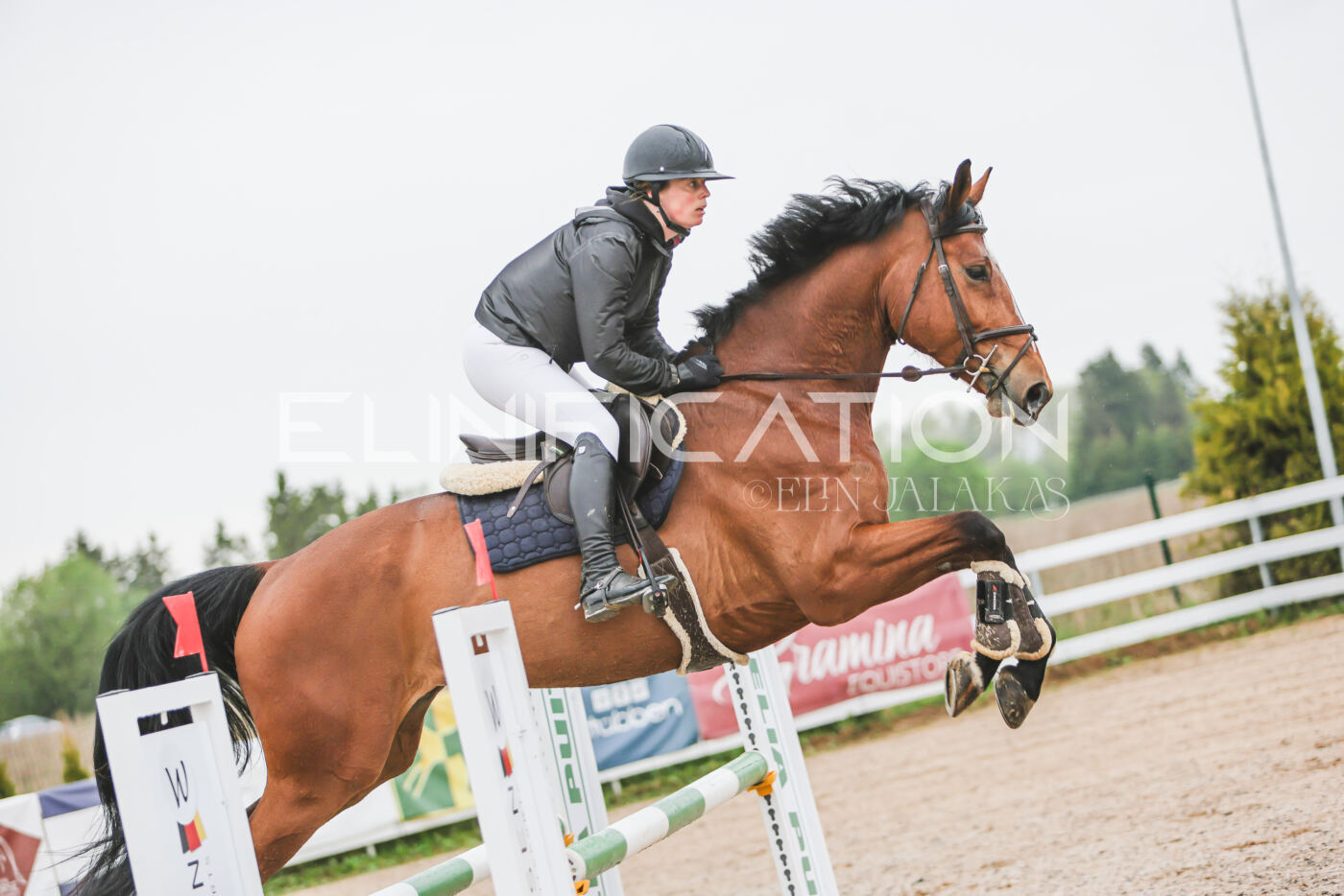 Gramina_Kevad_2026_95_085