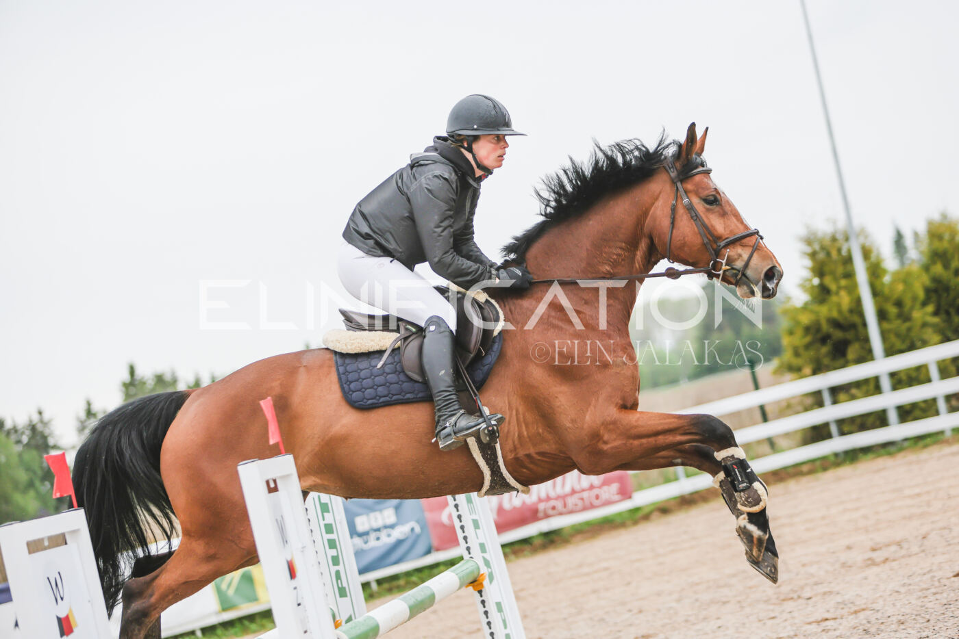 Gramina_Kevad_2026_95_086