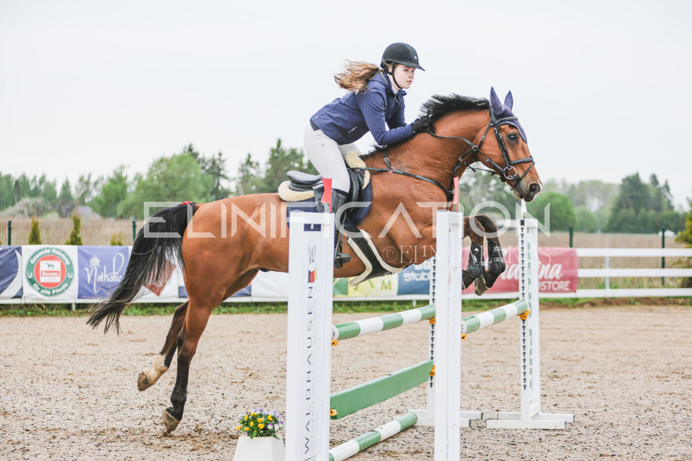 Gramina_Kevad_2026_95_087