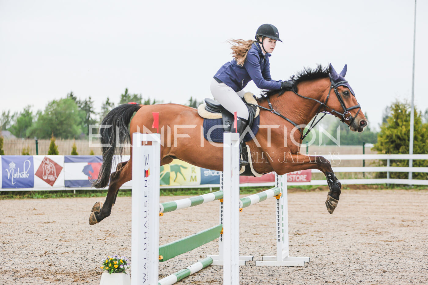 Gramina_Kevad_2026_95_088