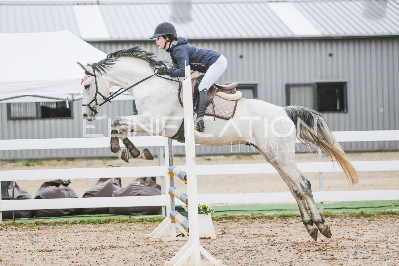 Gramina_Kevad_2026_95_104