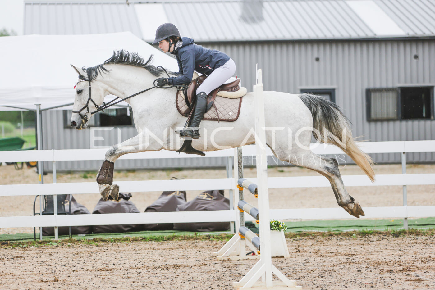 Gramina_Kevad_2026_95_106