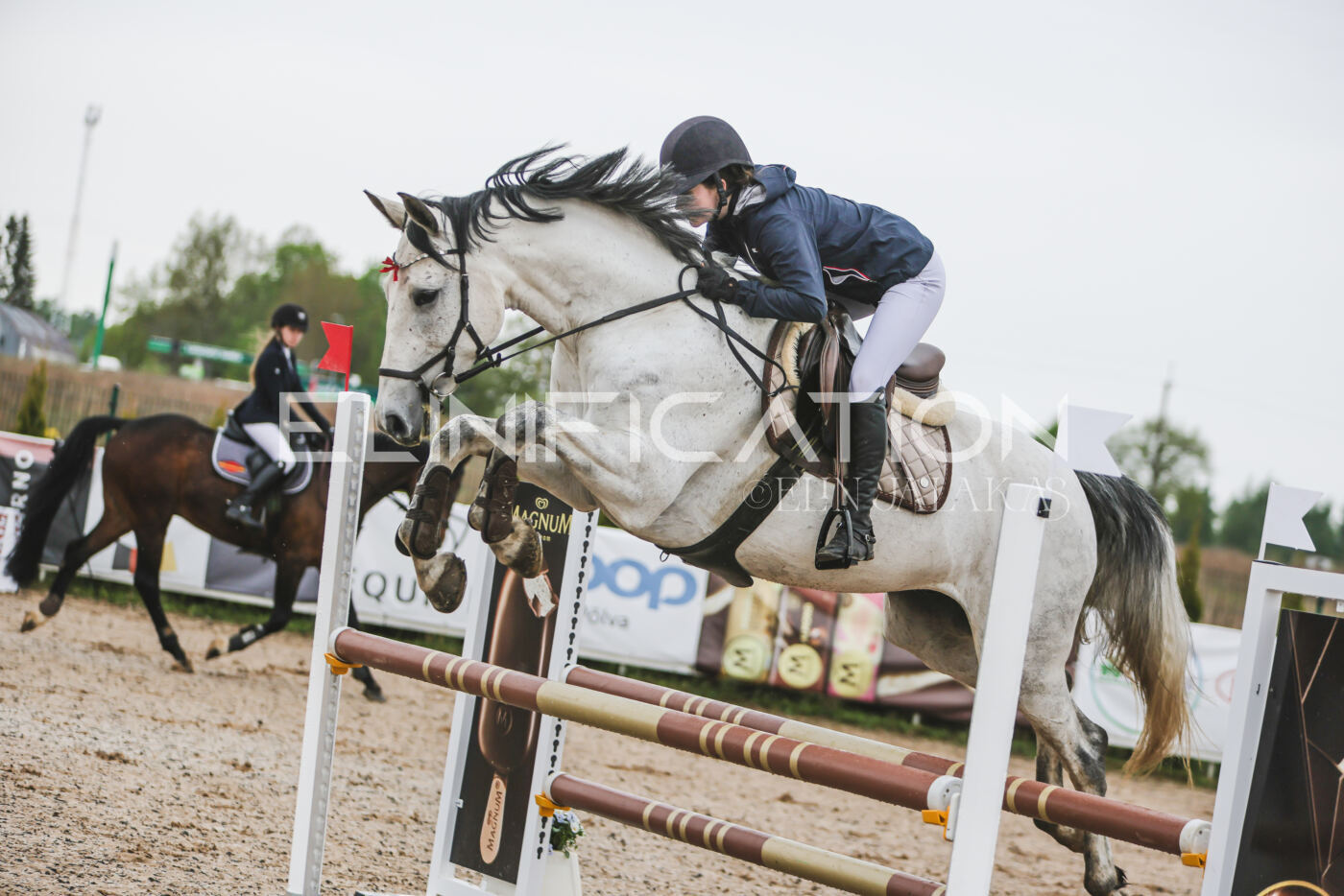 Gramina_Kevad_2026_95_109