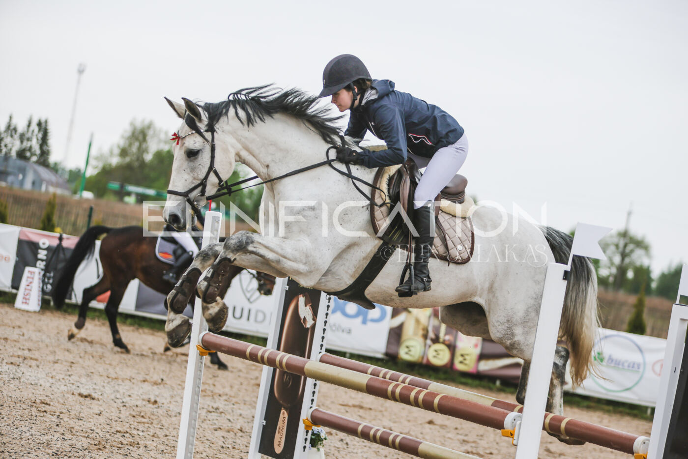 Gramina_Kevad_2026_95_110