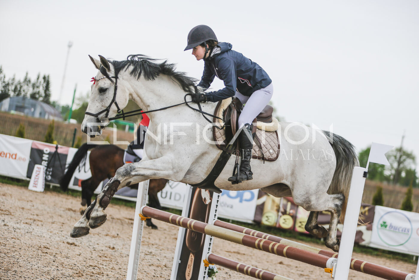 Gramina_Kevad_2026_95_111