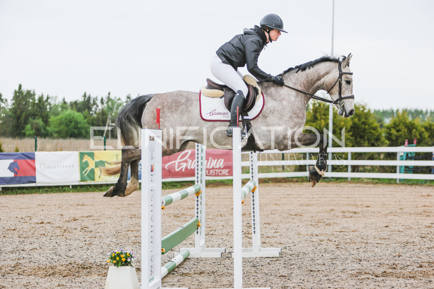 Gramina_Kevad_2026_95_143