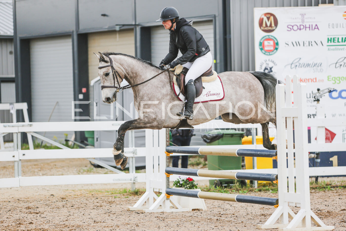 Gramina_Kevad_2026_95_147