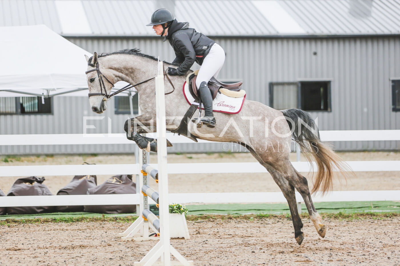 Gramina_Kevad_2026_95_148