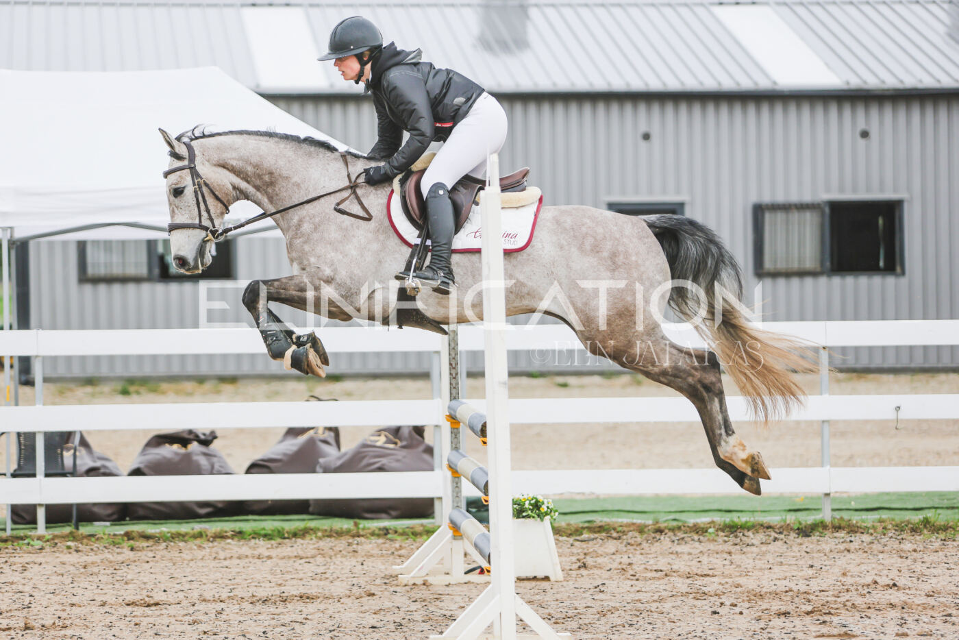 Gramina_Kevad_2026_95_150