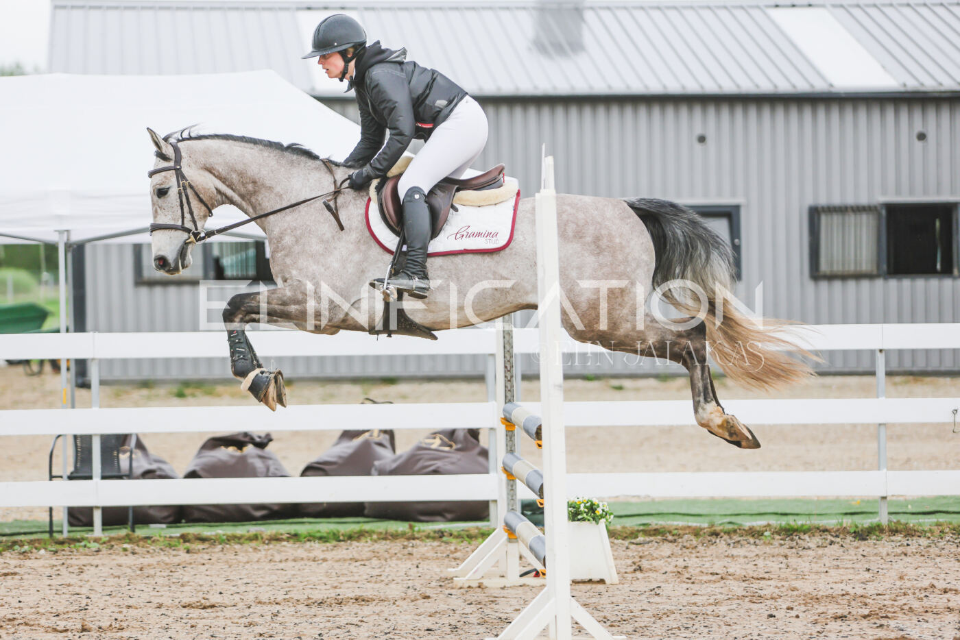 Gramina_Kevad_2026_95_151
