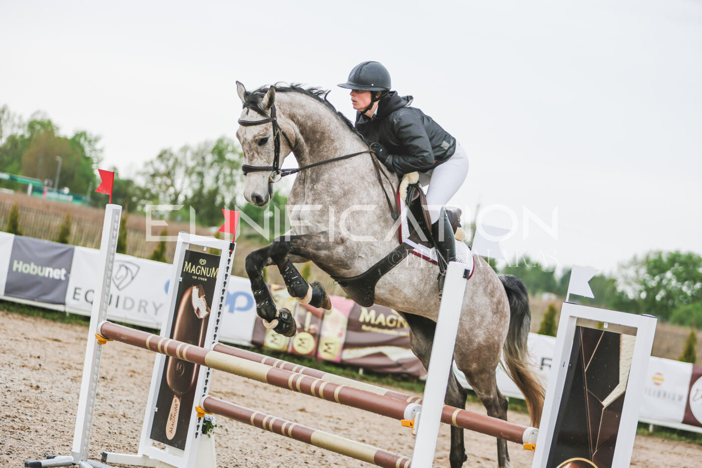 Gramina_Kevad_2026_95_152