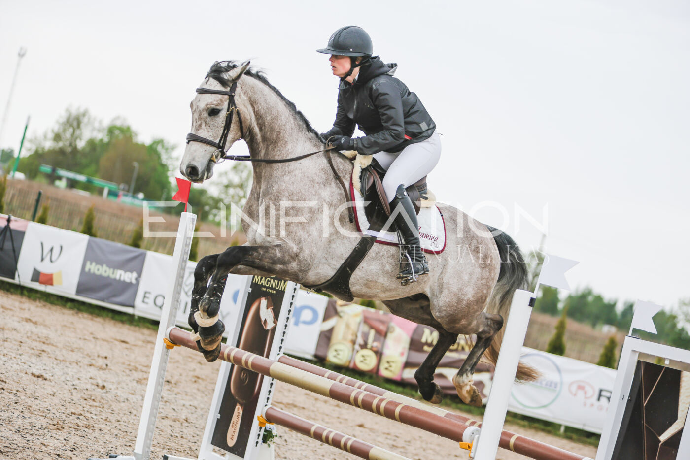 Gramina_Kevad_2026_95_155