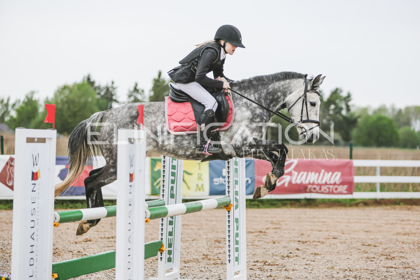 Gramina_Kevad_2026_95_156
