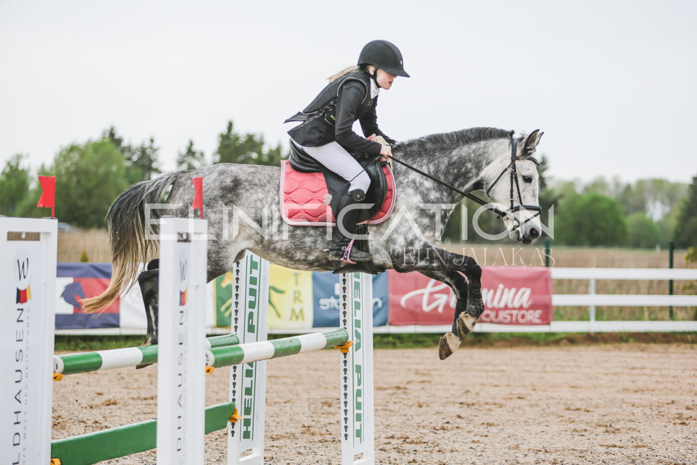 Gramina_Kevad_2026_95_157
