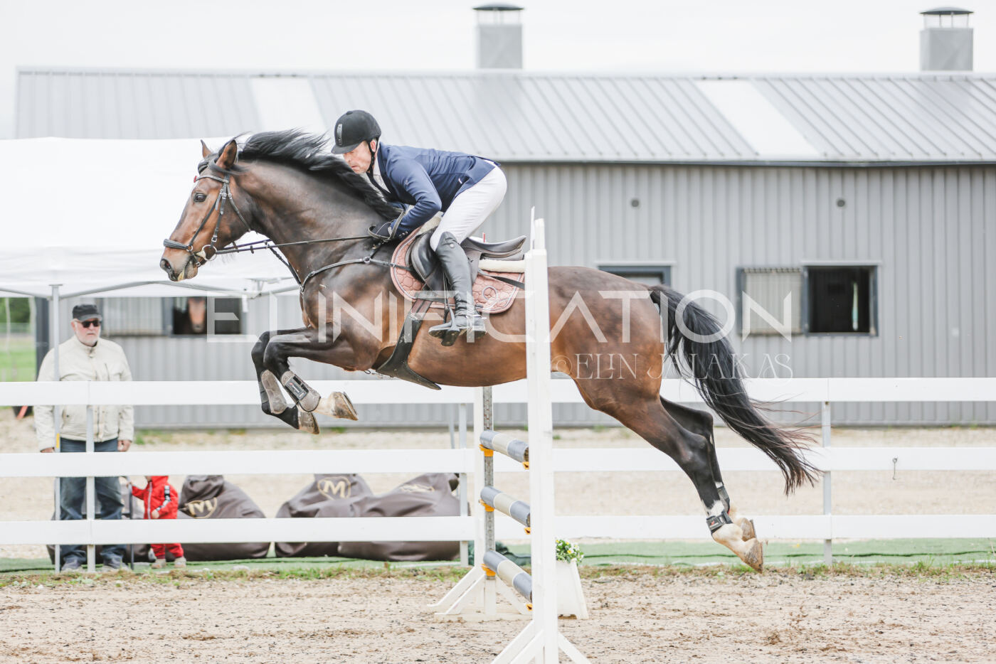 Gramina_Kevad_2026_105_006