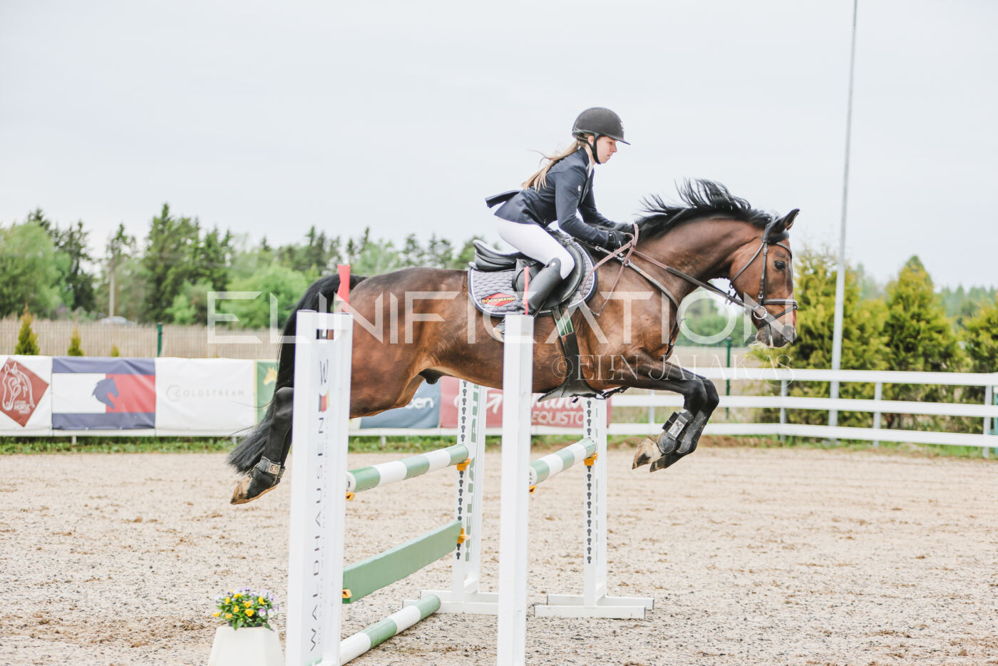 Gramina_Kevad_2026_105_011