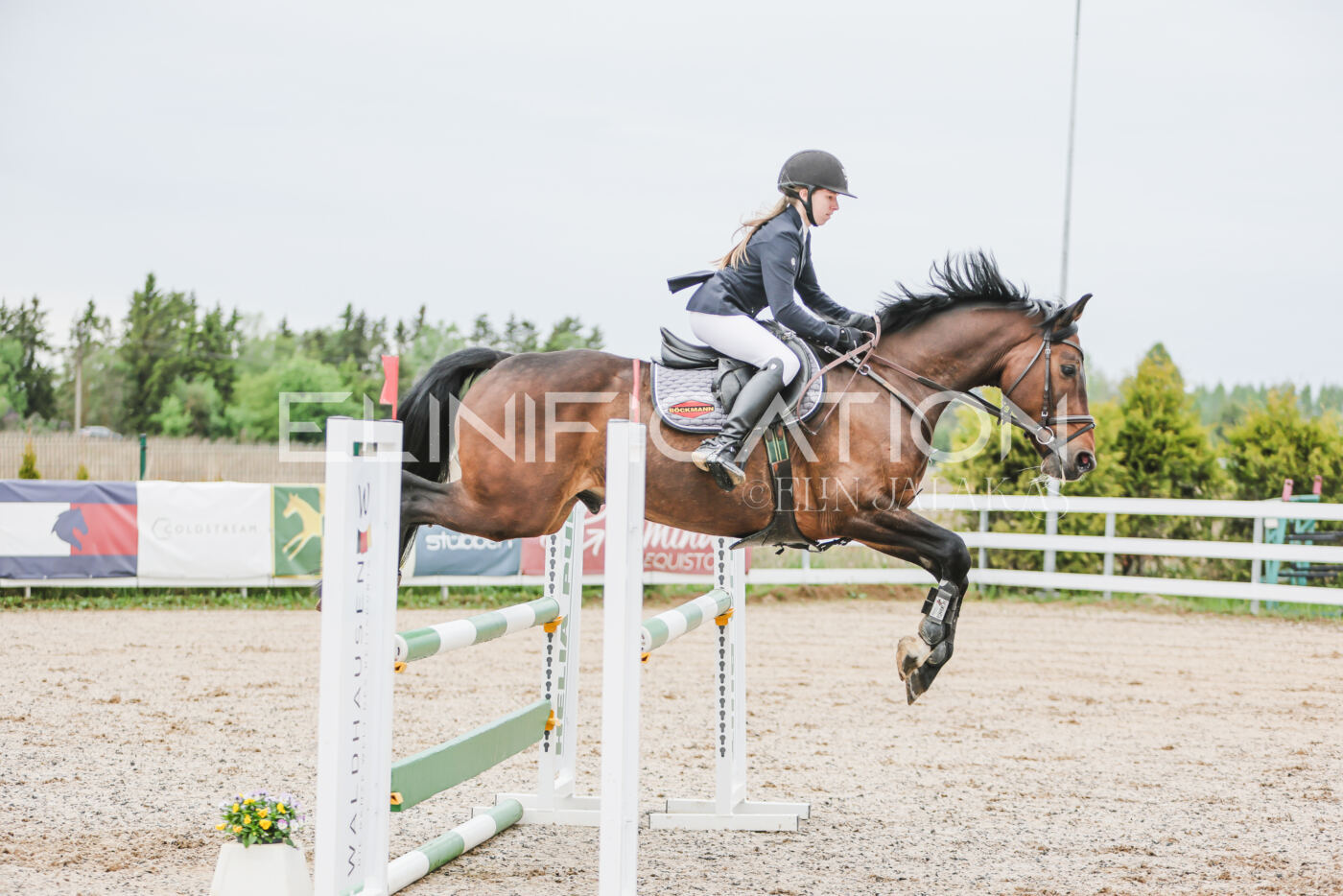 Gramina_Kevad_2026_105_012