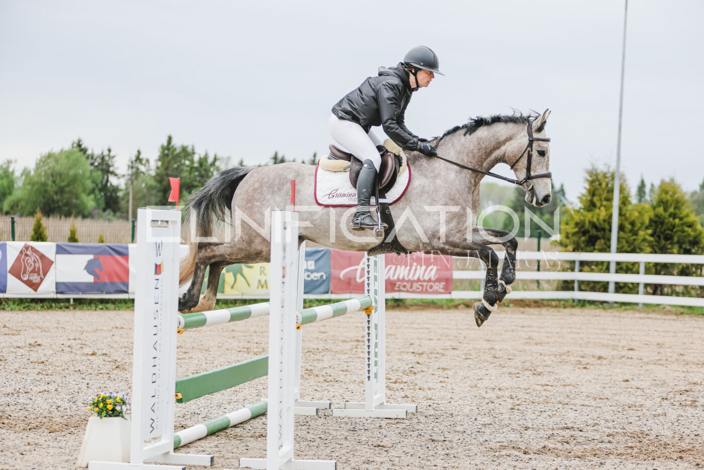 Gramina_Kevad_2026_105_020