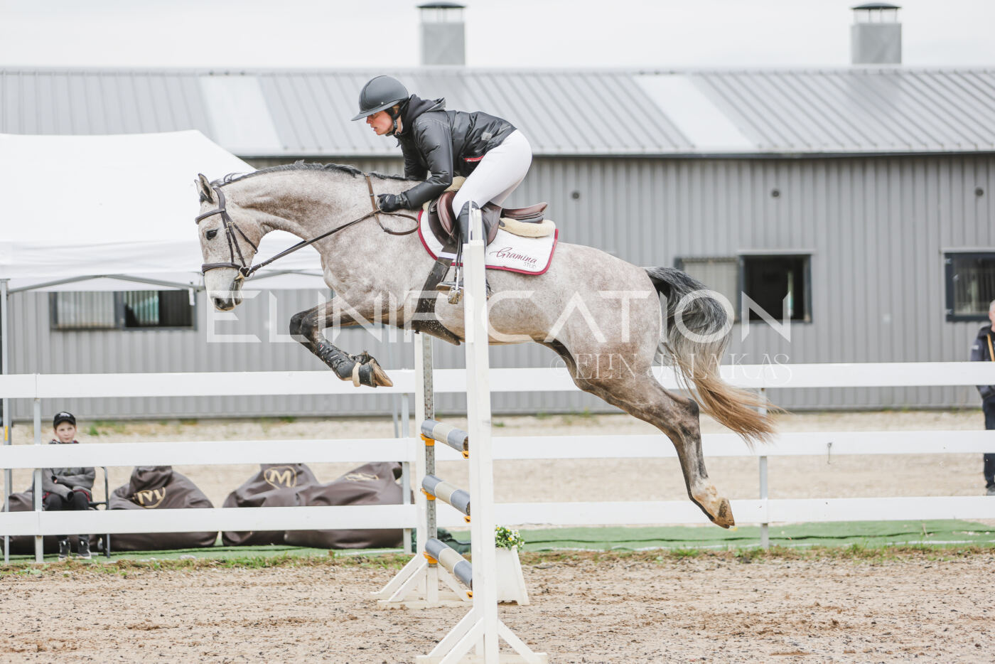 Gramina_Kevad_2026_105_026