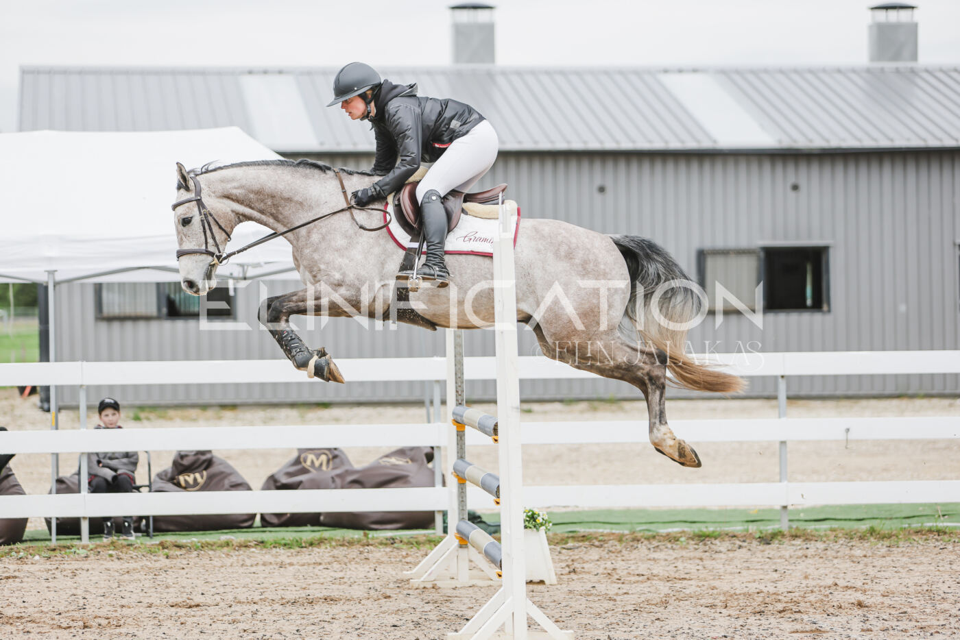 Gramina_Kevad_2026_105_027