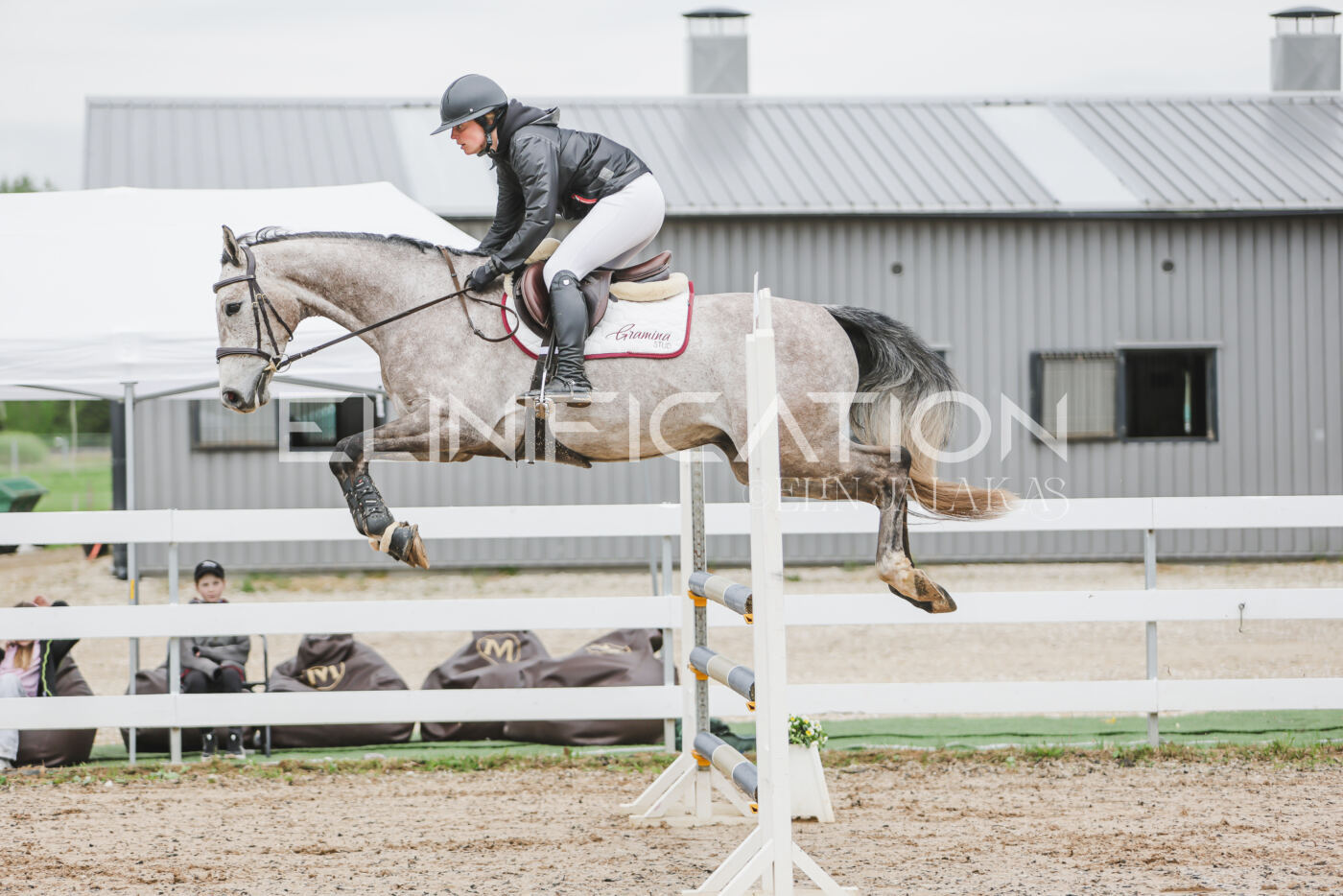 Gramina_Kevad_2026_105_028